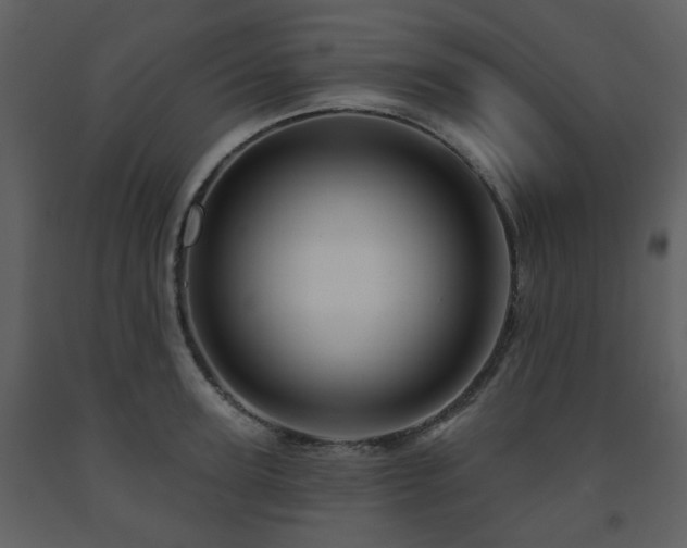 X0000091720947200708241346