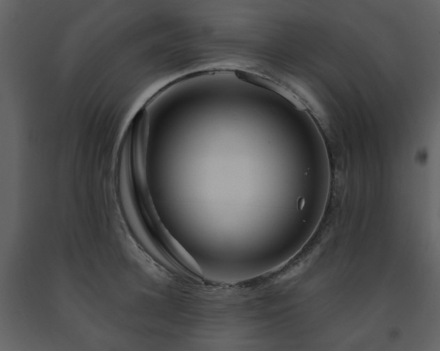 X0000091720948200708241346