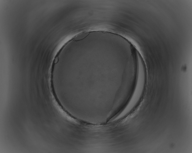 X0000091720949200708241346
