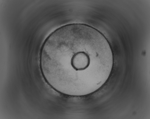 X0000091720950200708241346