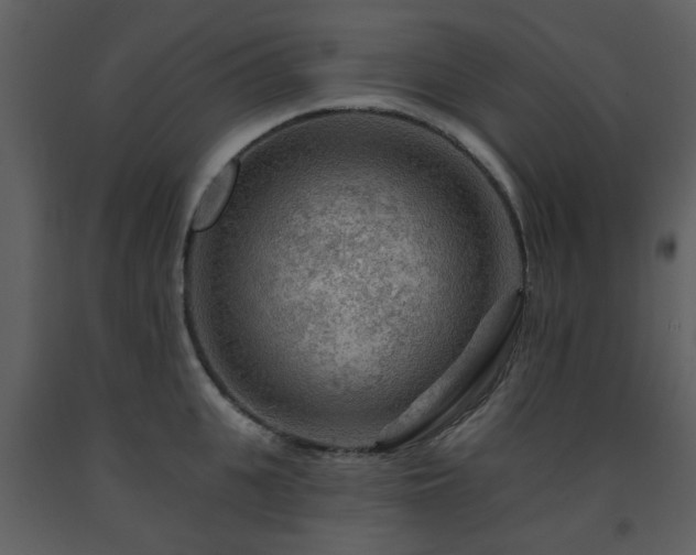 X0000091720951200708241346