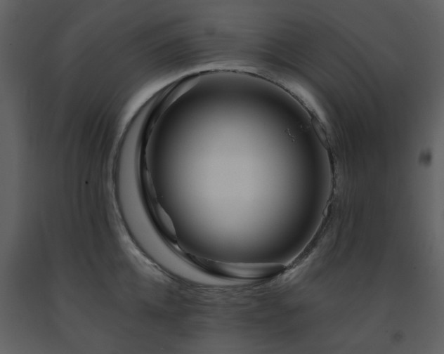 X0000091720952200708241346
