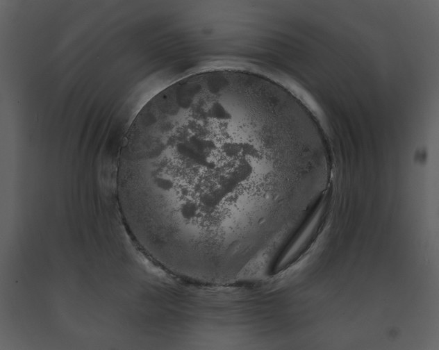 X0000091720953200708241346