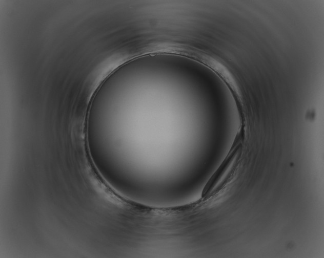X0000091720954200708241346
