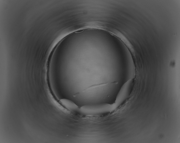 X0000091720955200708241346