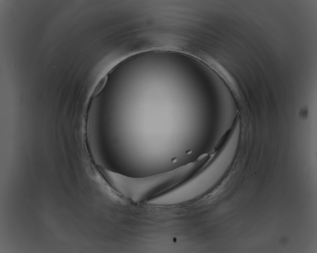 X0000091720956200708241346