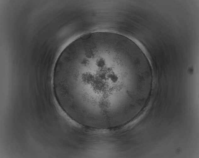 X0000091720957200708241346