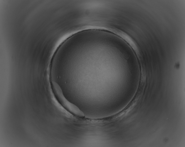 X0000091720958200708241346