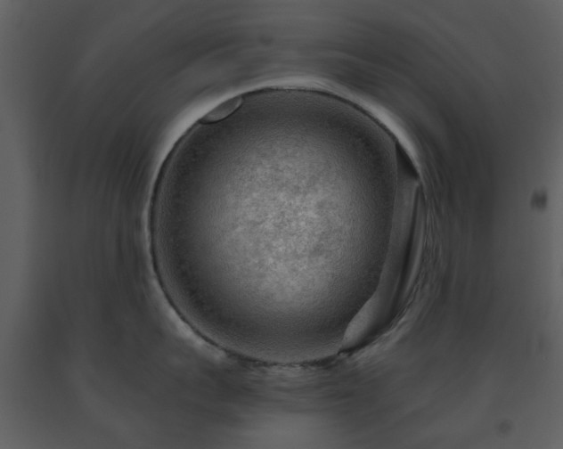 X0000091720959200708241346