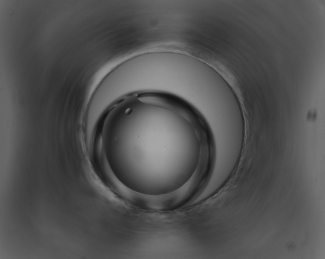 X0000091720960200708241346