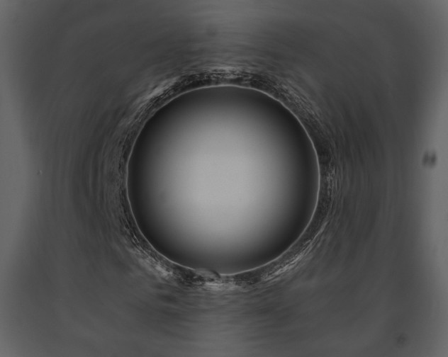 X0000091720961200708241346