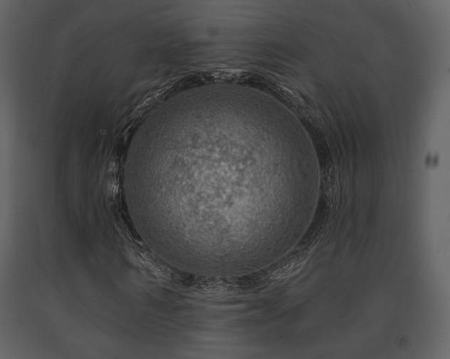 X0000091720962200708241345