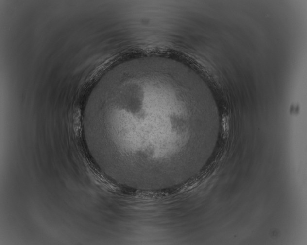 X0000091720963200708241345
