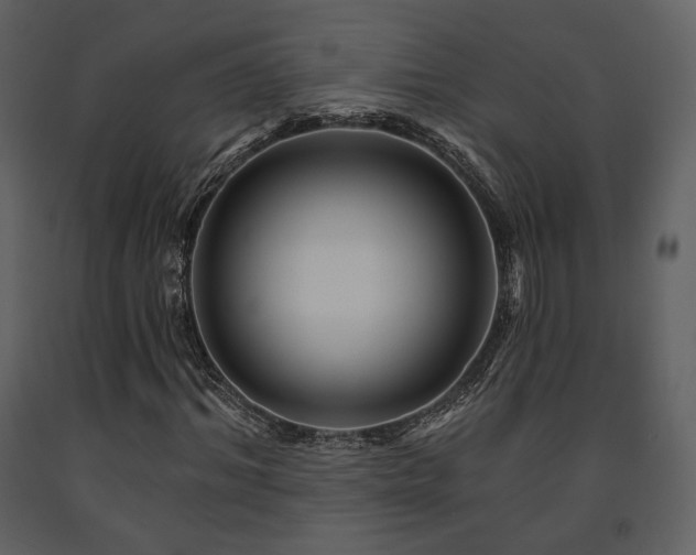 X0000091720964200708241345