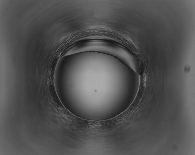 X0000091720965200708241345