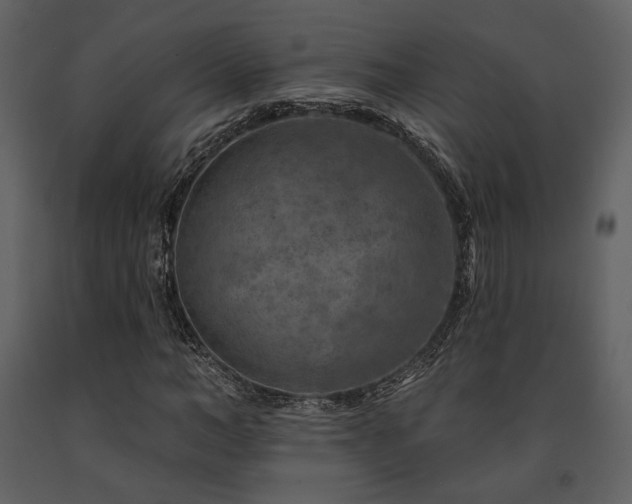 X0000091720966200708241345
