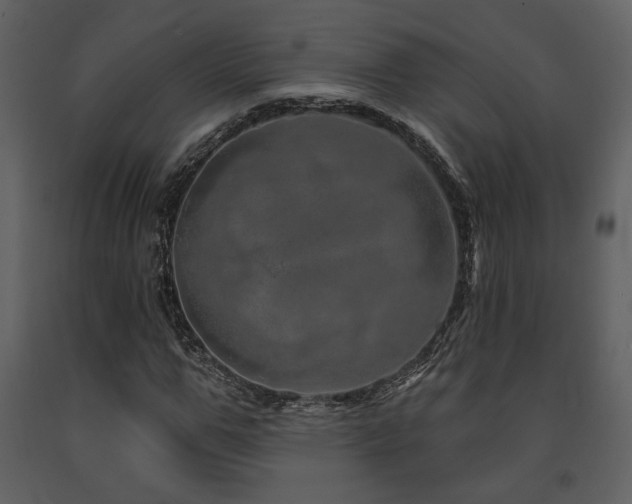 X0000091720967200708241345