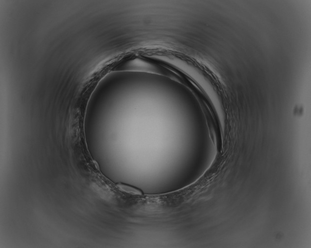 X0000091720968200708241345