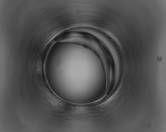 X0000091720969200708241345