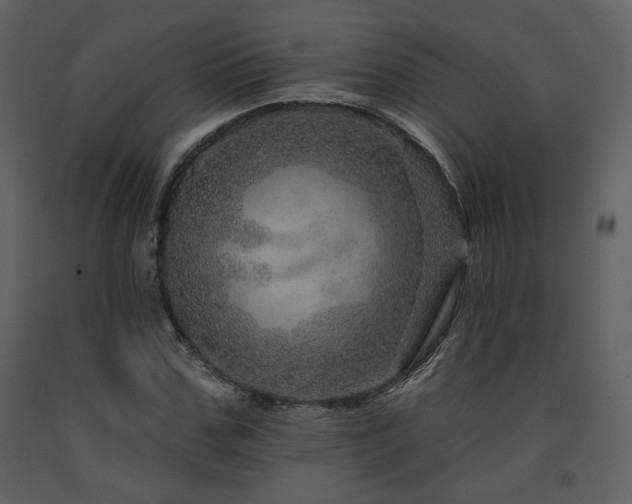 X0000091720971200708241345