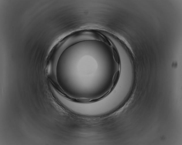 X0000091720973200708241345