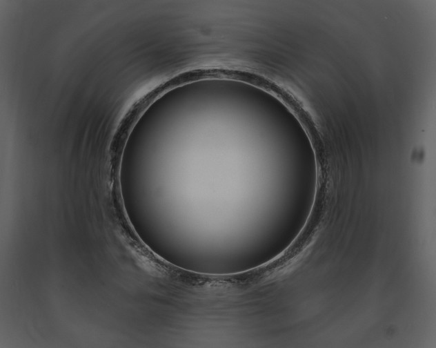 X0000091720974200708241345