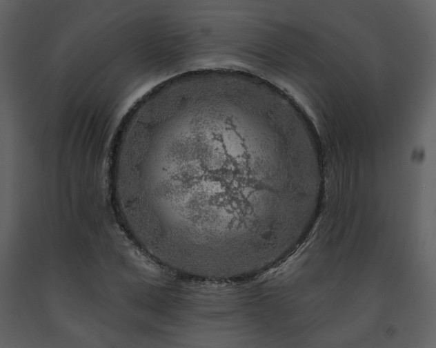 X0000091720975200708241345