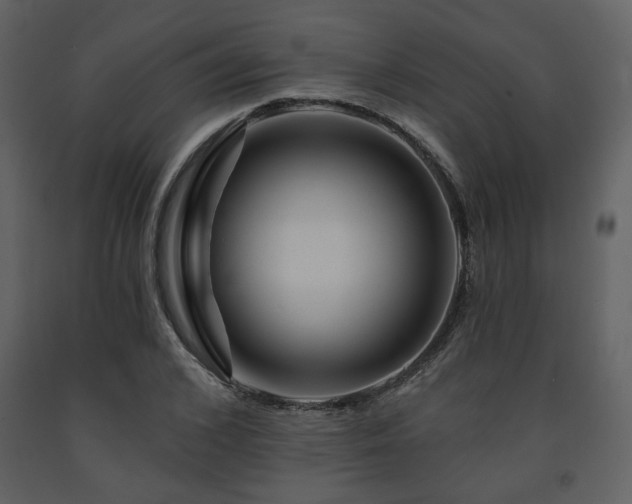 X0000091720976200708241345