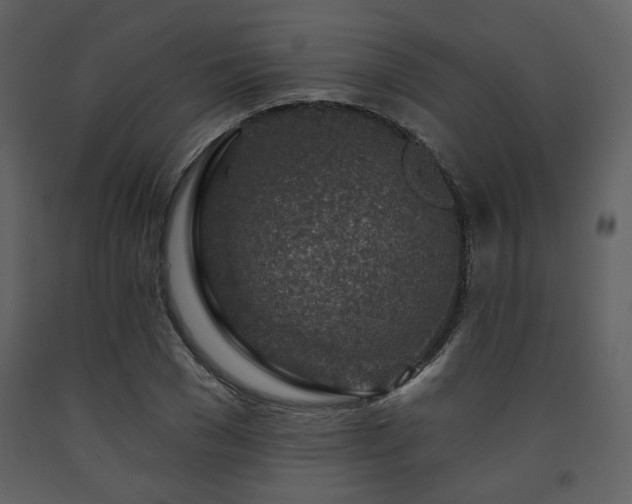 X0000091720977200708241345
