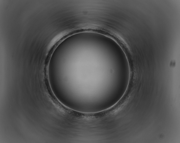 X0000091720978200708241345