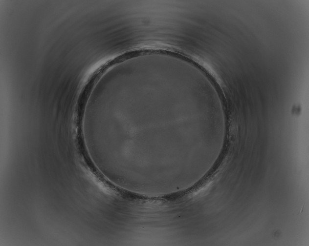 X0000091720979200708241345