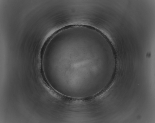 X0000091720982200708241345