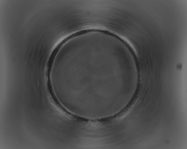 X0000091720983200708241345