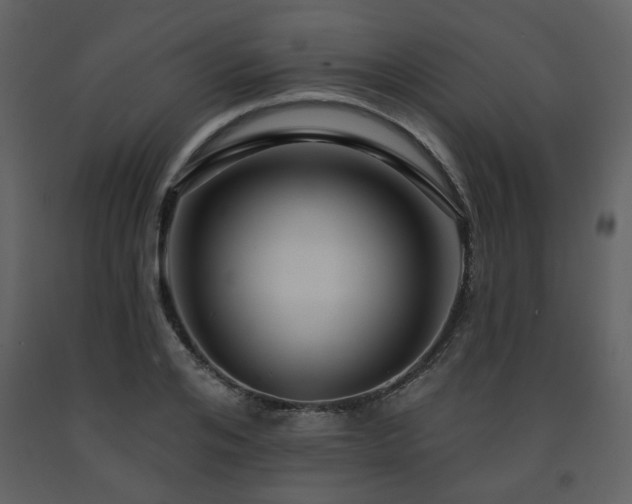 X0000091720984200708241345