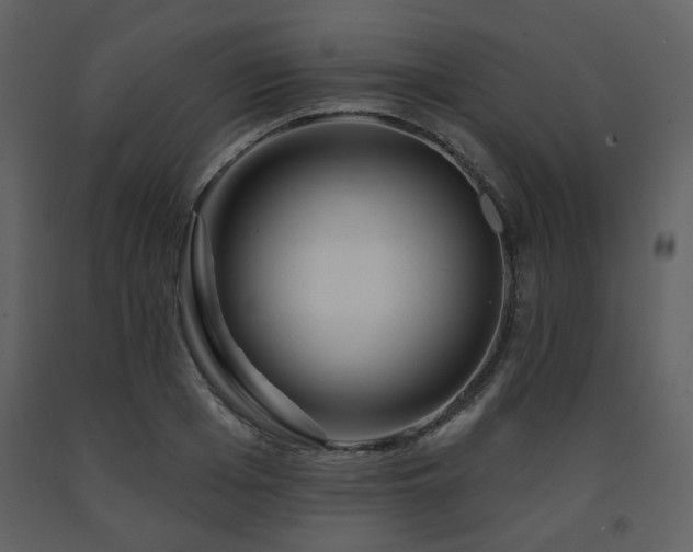 X0000091720985200708241345