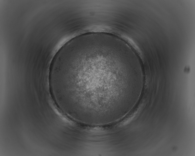 X0000091720986200708241345