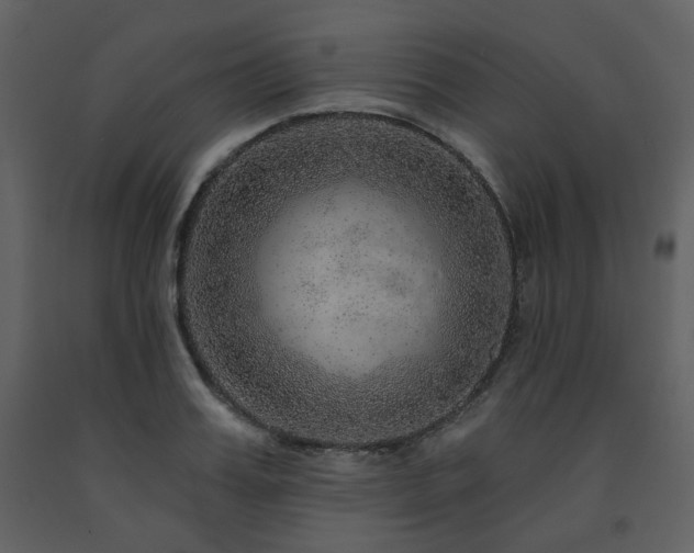 X0000091720987200708241345