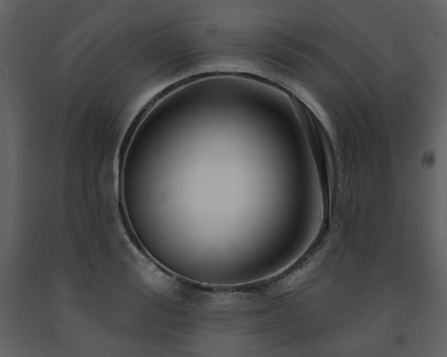 X0000091720988200708241345