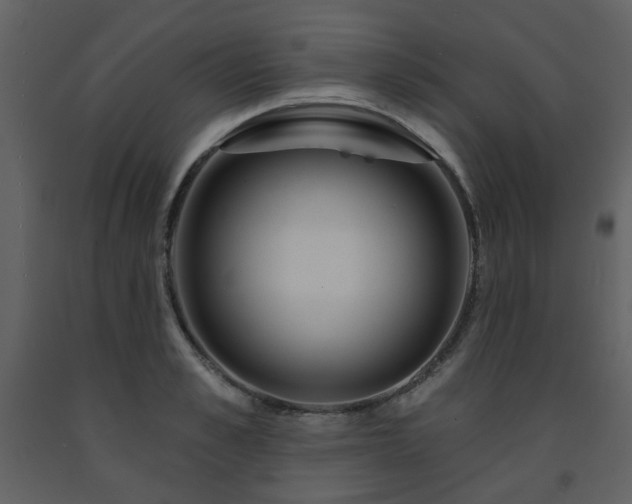 X0000091720989200708241345