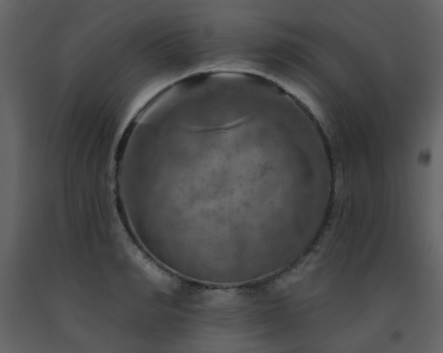 X0000091720990200708241345