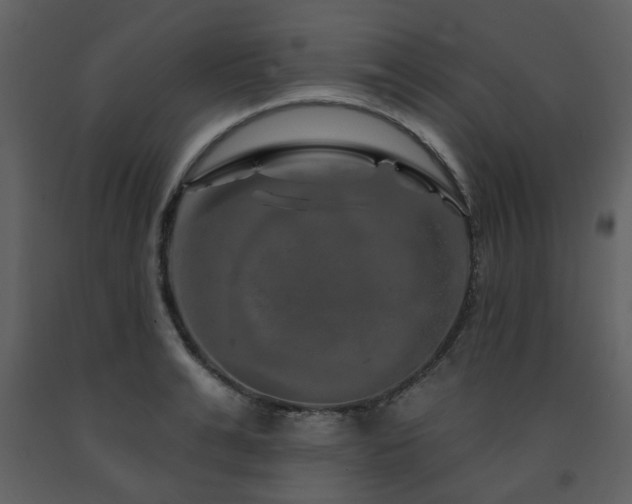 X0000091720991200708241345