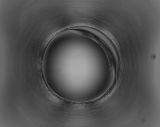 X0000091720993200708241345