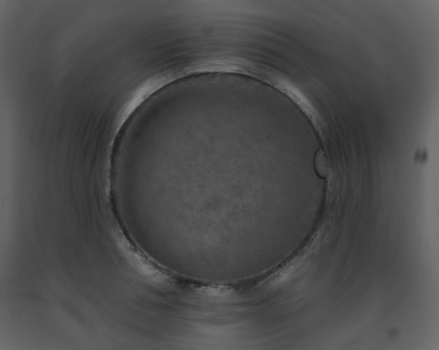 X0000091720994200708241345