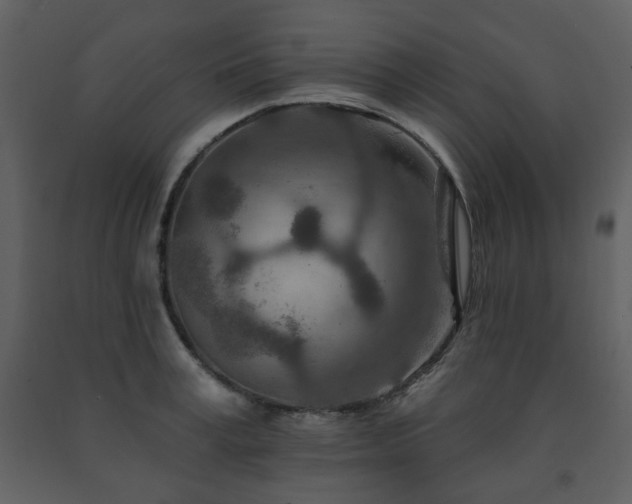 X0000091720995200708241345