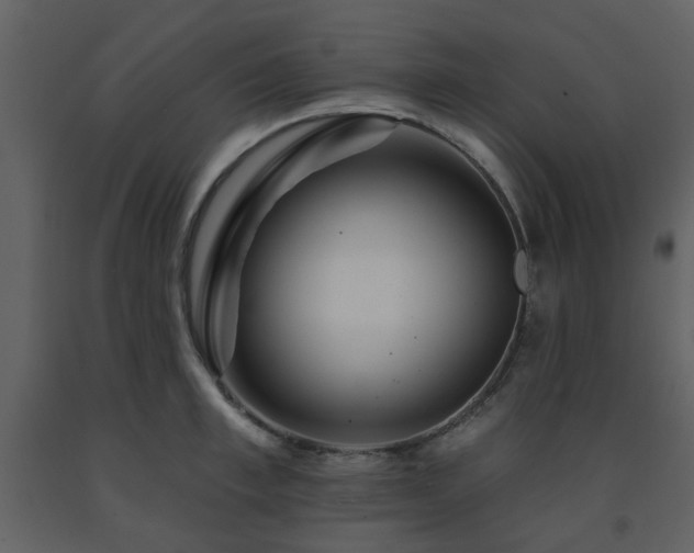 X0000091720997200708241345