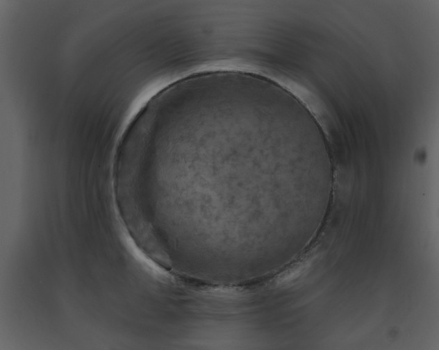 X0000091720998200708241345