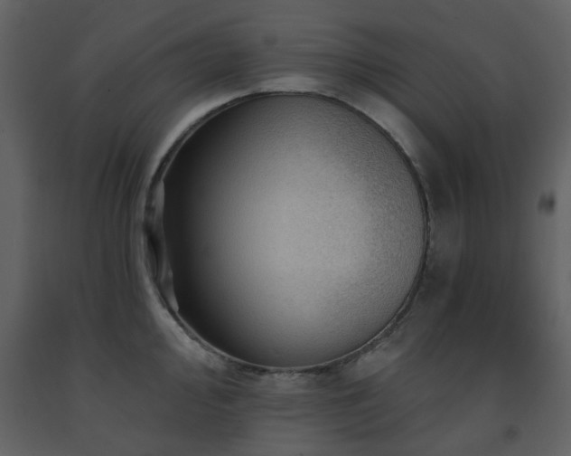 X0000091721000200708241345