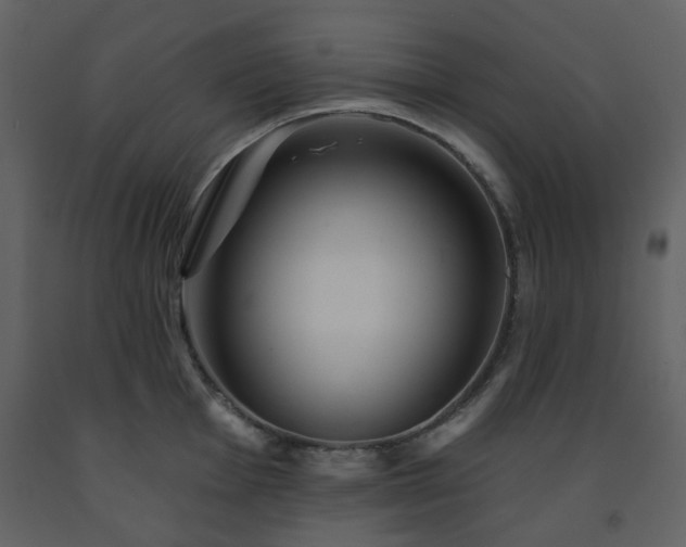 X0000091721001200708241345