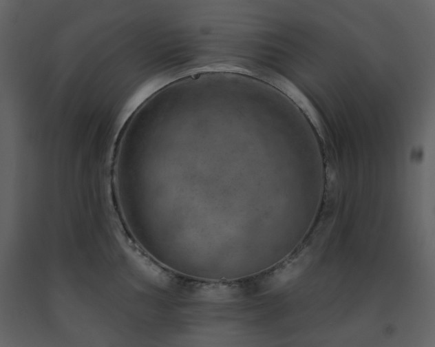 X0000091721002200708241345