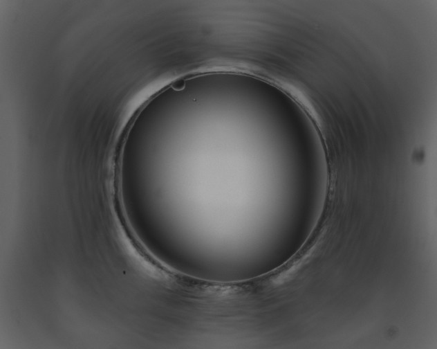 X0000091721003200708241345